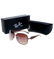 Ray-ban Glasses-1363