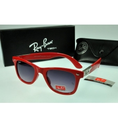 Ray-ban Glasses-1439